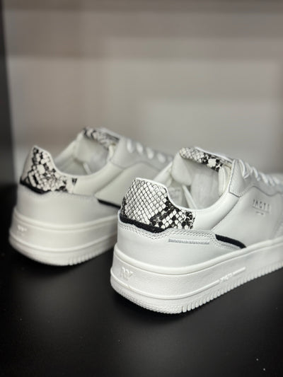 SNEAKERS YNOT DONNA